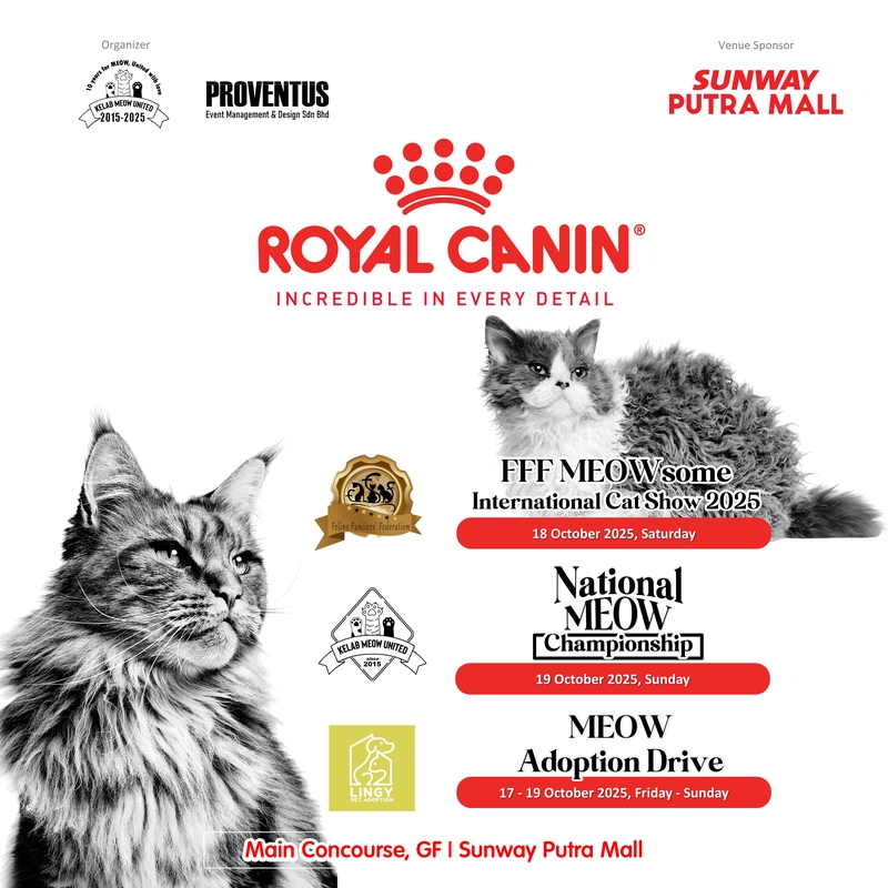 Royal Canin MEOWsome Adoption Drive & Shows 2025