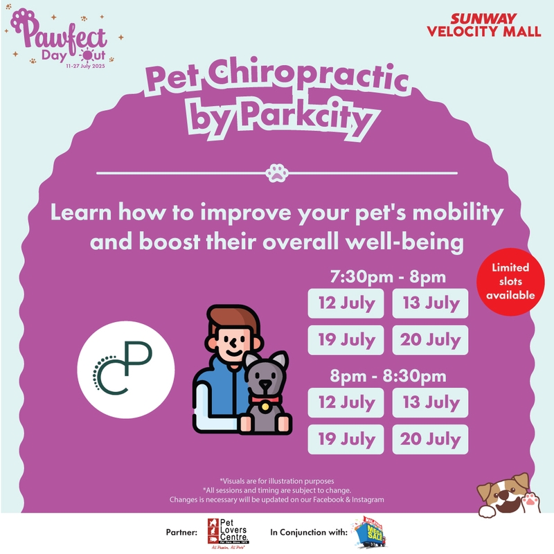 Pet Chiropractic by Parkcity