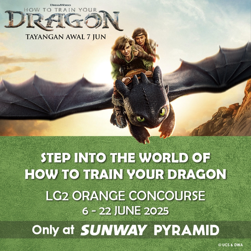 How To Train Your Dragon