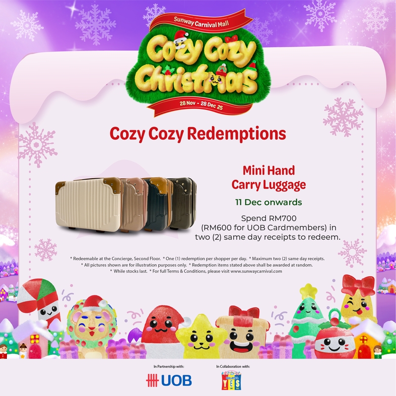 Mini Hand Carry Luggage